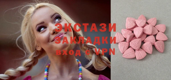 ECSTASY Богданович