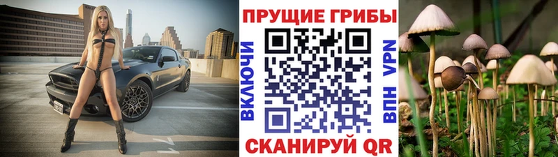 даркнет сайт  Звенигово  Псилоцибиновые грибы Cubensis 
