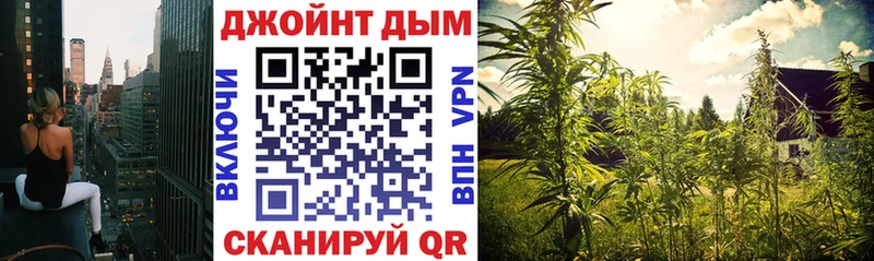 Каннабис OG Kush  Звенигово 
